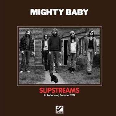 Slipstreams (Vinyl / 12" Album)