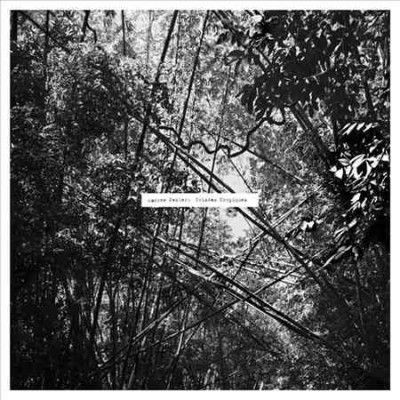Andrew Pekler - Tristes Tropiques (Vinyl)
