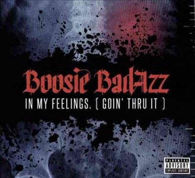 Boosie Badazz - In My Feelings (goin Thru It) (CD)