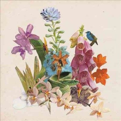 Monster Rally - Mystery Cove (Vinyl)