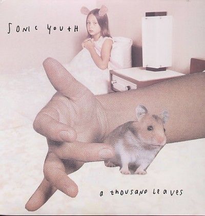 Sonic Youth - Thousand Leaves (Vinyl)