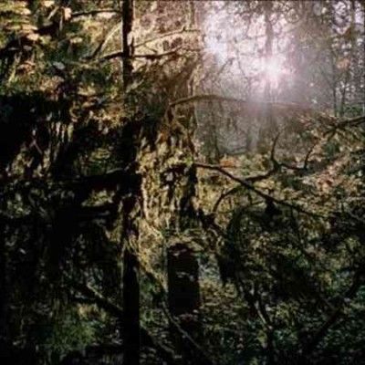 White Manna - White Manna (Vinyl)