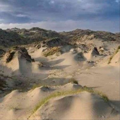 White Manna - Dune Worship (Vinyl)