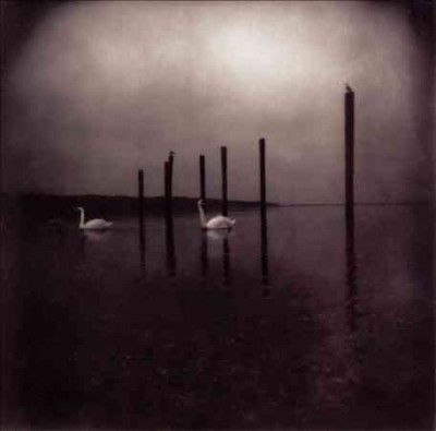 Om - Conference Of The Birds (Vinyl)