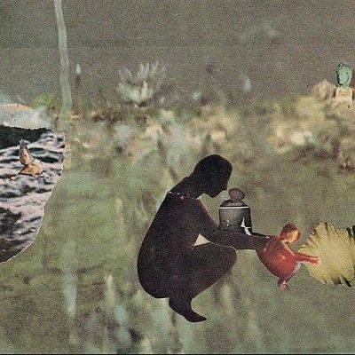 Psycho And The Birds - We've Moved (Vinyl)