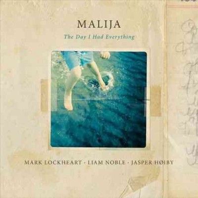 The Day I Had Everything (Vinyl / 12" Album)
