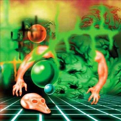 Use Your Illusions (Vinyl / 12" Album)