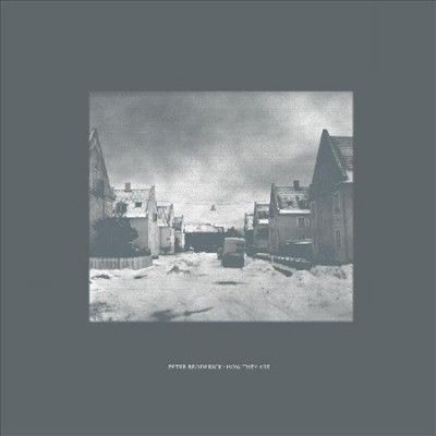 Peter Broderick - How They Are (Vinyl)