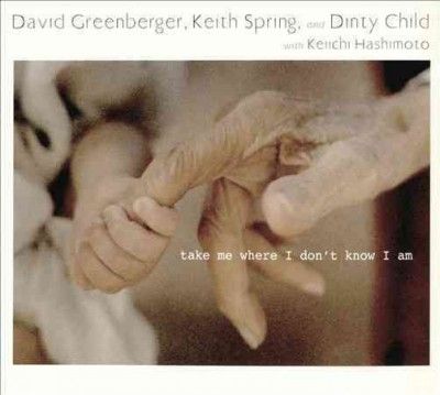 David Greenberger - Take Me Where I Don't Know I Am (CD)