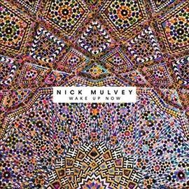 Nick Mulvey - Wake Up Now (Vinyl)