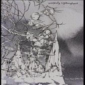 Everlovely Lightning - Sien Weal Tallion Rue (Vinyl)