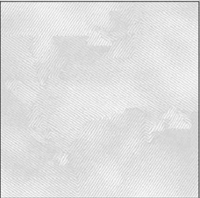 Arbre Du Tenere - La Pelle Del Fantasma (Vinyl)