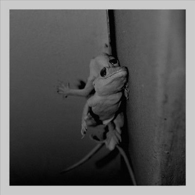 Lasse Marhaug - Nature Lovers (Vinyl)