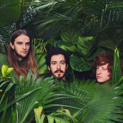 Music Band - Wake Up Laughing (Vinyl)