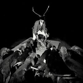 Les Marquises - Night Full Of Collapses (Vinyl)
