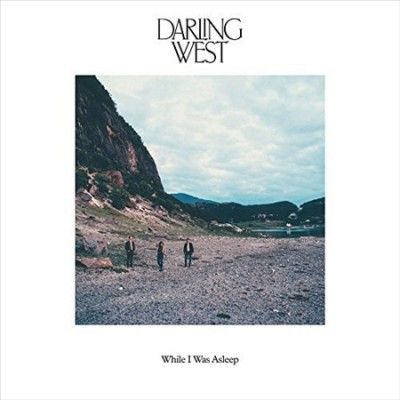 While I Was Asleep (Vinyl / 12" Album)