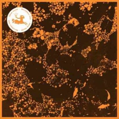 Silent Ascent (Vinyl / 12" Album)