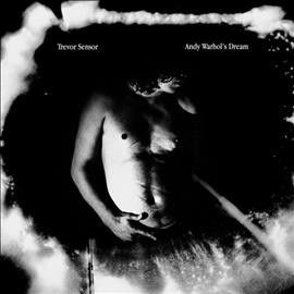 Trevor Sensor - Andy Warhol's Dream (metallic Silver) (Vinyl)