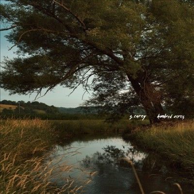 S. Carey - Hundred Acres (Vinyl)