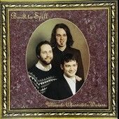 Built To Spill - Ultimate Alternative Wavers (Vinyl)