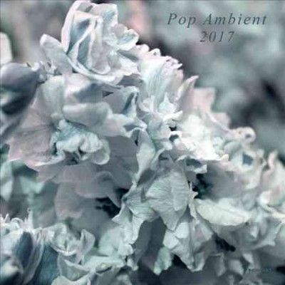 Various - Pop Ambient 2017 (Vinyl)