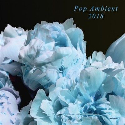 Various - Pop Ambient 2018 (Vinyl)