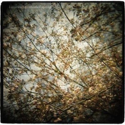 Horse Feathers - Thistled Spring (Vinyl)