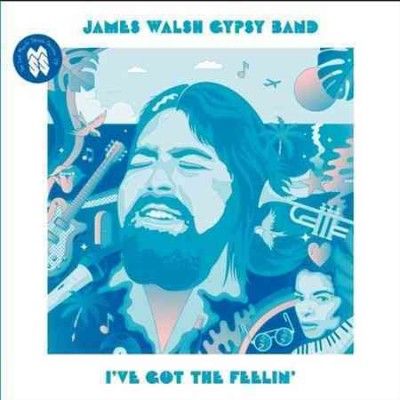 James Walsh - I've Got The Feelin (Vinyl)