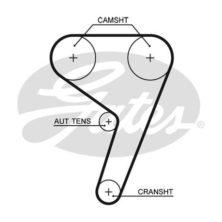 ford fusion cambelt change intervals