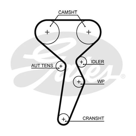 renault megane 1.6 vvt timing belt change