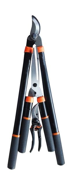 Fragram - Pruning Set - Set of 3