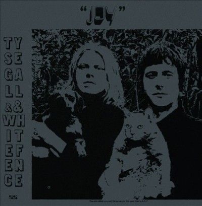 Ty Segall - Joy (CD)