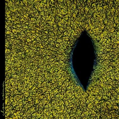 Clan Caiman - Clan Caiman (CD)