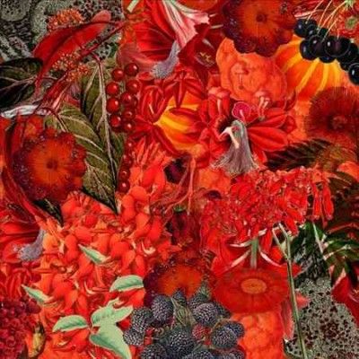 We Will Fail - Hand That Heals/hand That Bites (CD)