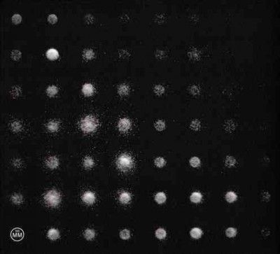 Rayon - Beat Of Silence (CD)