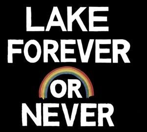 Forever Or Never (CD / Album)