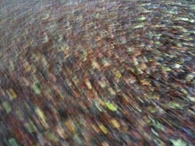 Movement (CD / Album)