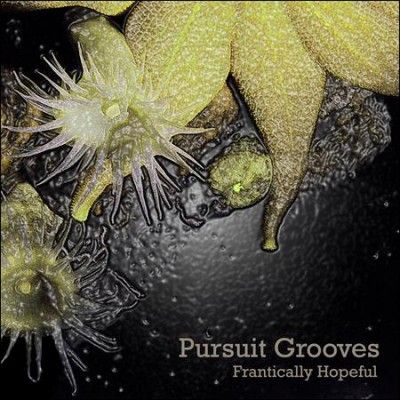 Pursuit Grooves - Frantically Hopeful (CD)