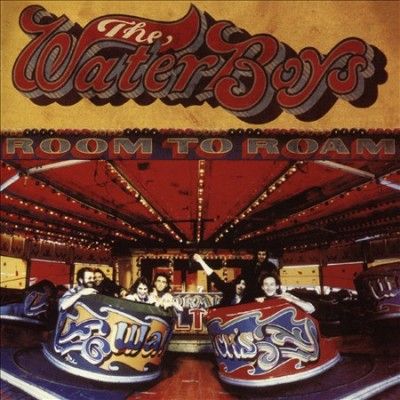 Waterboys - Room To Roam (CD)