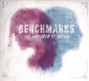 Benchmarks - Our Undivided Attention (CD)