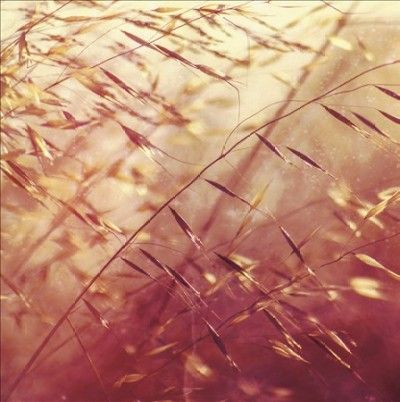 Secret Pyramid - Two Shadows Collide (Vinyl)