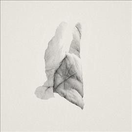 Sleep Heavy (Vinyl / 12" Album)