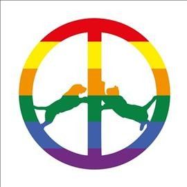 Rainbow Edition (Vinyl / 12" Album)