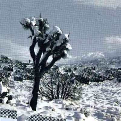 Oren Ambarchi - Pale Calling (Vinyl)