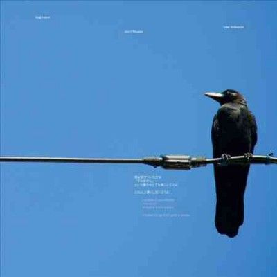 Jim O'rourke - I Wonder If You Noticed I'm Sorry Is (Vinyl)