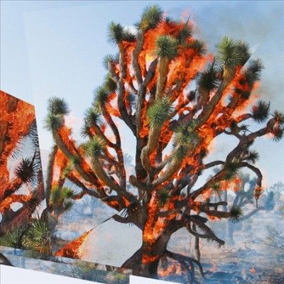 Oren Ambarchi - Face Time (Vinyl)