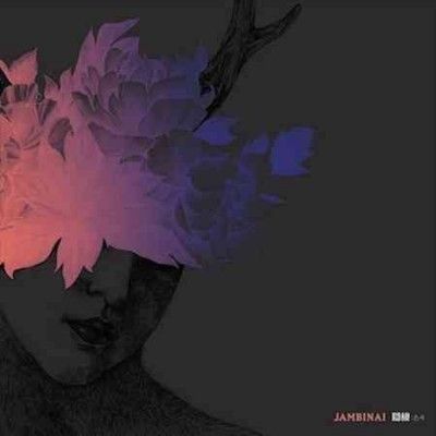 A Hermitage (Vinyl / 12" Album)