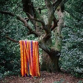The Animal Spirits (Vinyl / 12" Album)