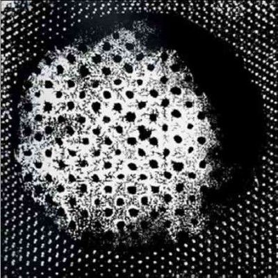 Patashnik (Vinyl / 12" Album)