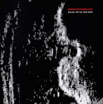 Wake Up in the Sun (Vinyl / 12" Album)